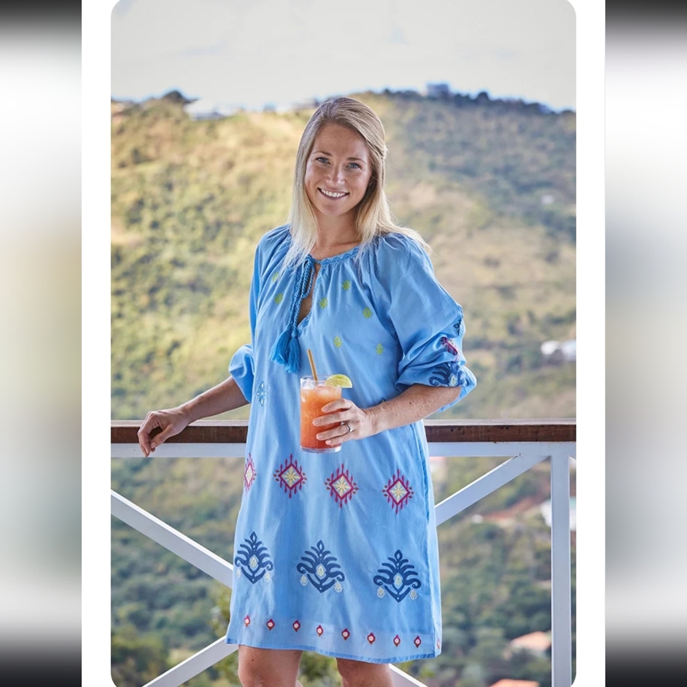 Chic Blue Embroidered Mini Dress